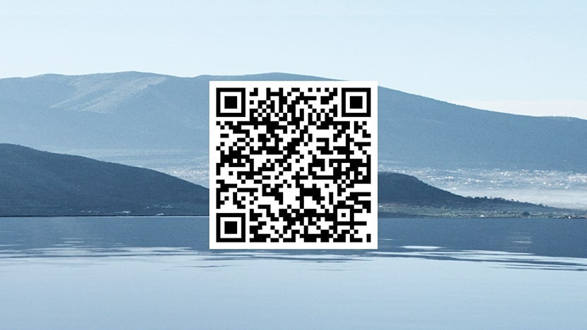 Hyundai Evolve+ iPhone QR code | Terry Reid Hyundai in Cartersville GA